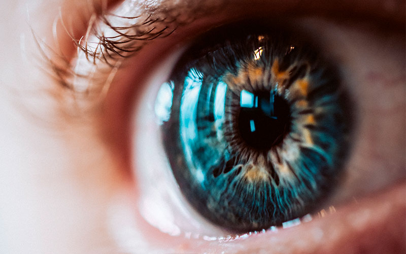 10 de julho, Dia Mundial da Saúde Ocular